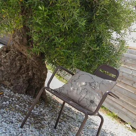 Le Bois 3* Dolus d'Oléron